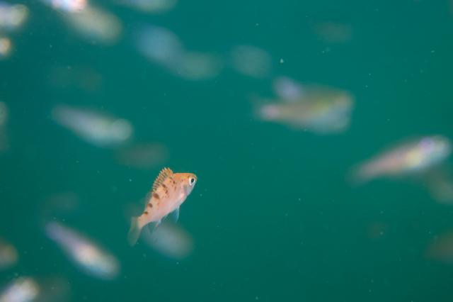 久々週末HAYAMA！！