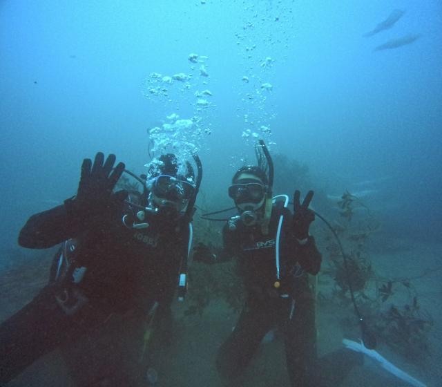 江の浦で講習&ファンダイビング