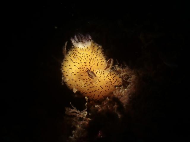 今日は少し寒い１日！