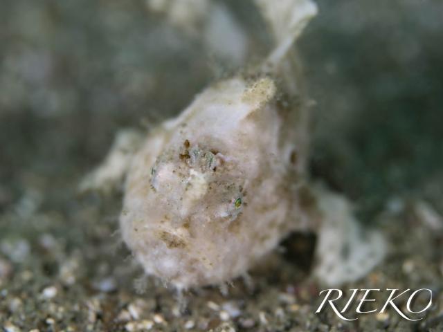 今日は少し寒い１日！