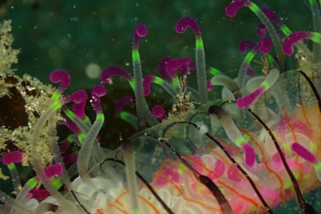 今日は少し寒い１日！