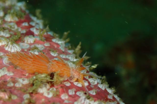 今日は少し寒い１日！