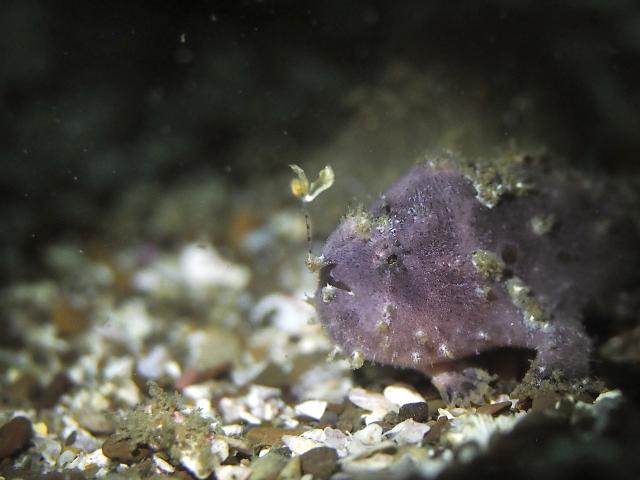 今日は少し寒い１日！