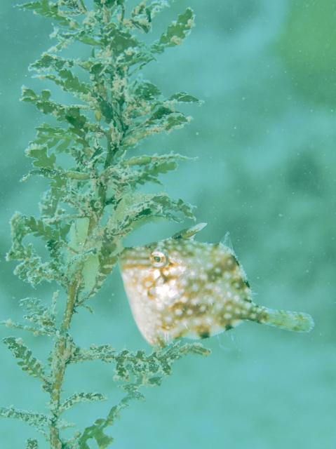 今日は少し寒い１日！