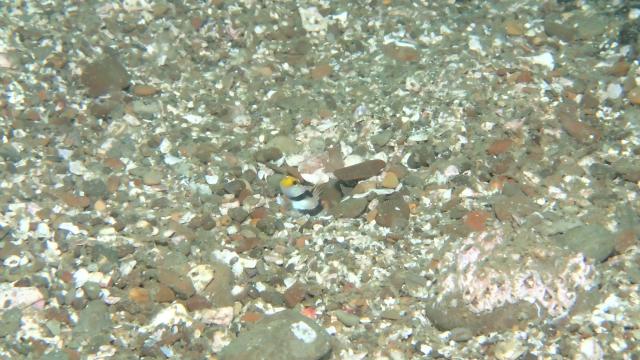 今日は少し寒い１日！