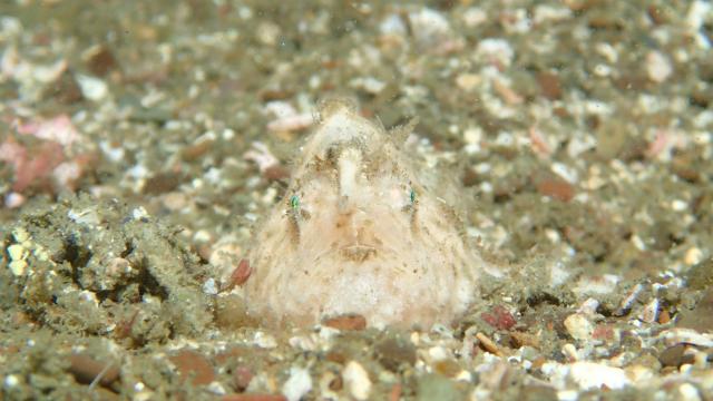 今日は少し寒い１日！