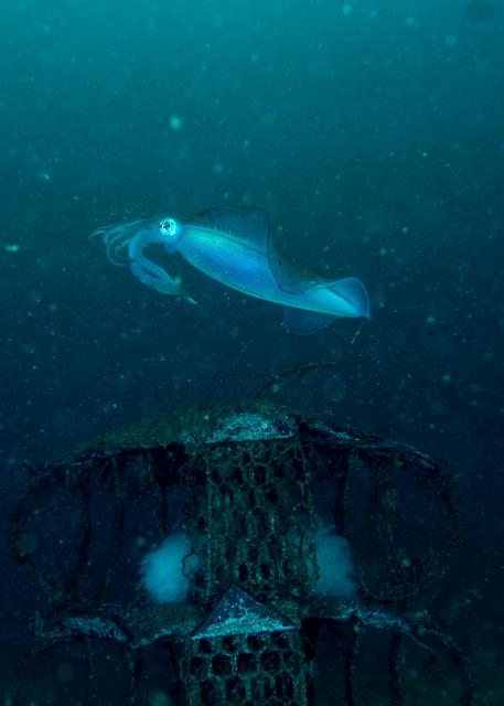 快晴のダイビング日和！！