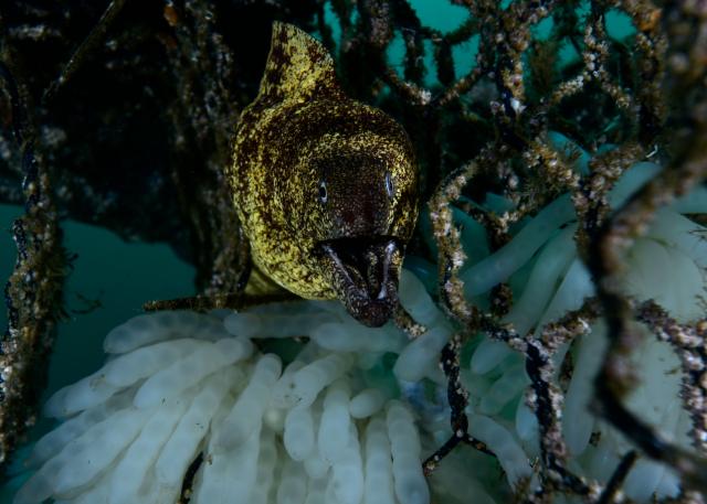 快晴のダイビング日和！！