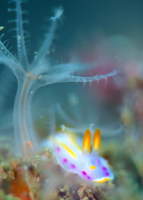 快晴のダイビング日和！！