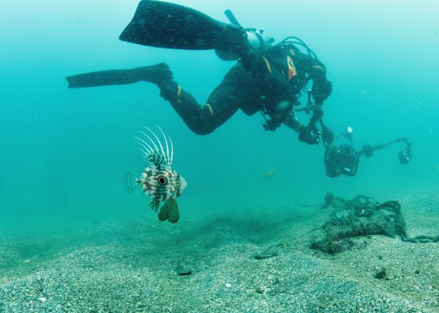 快晴のダイビング日和！！