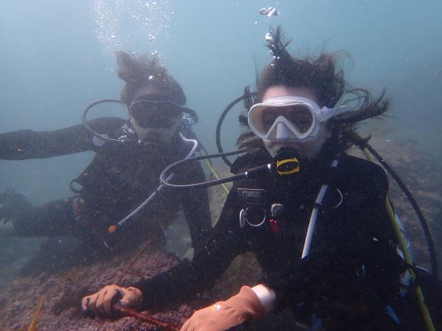 快晴のダイビング日和！！