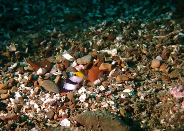 もうすぐ夏かなぁ〜☀️