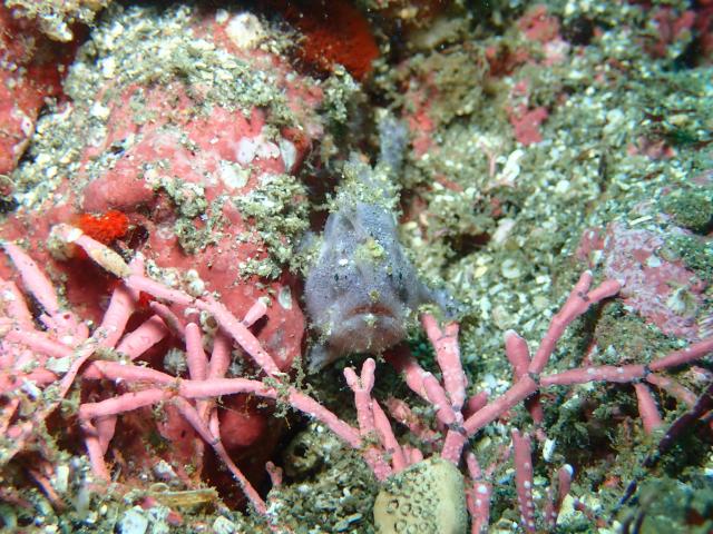 もうすぐ夏かなぁ〜☀️