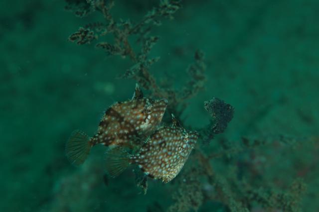 もうすぐ夏かなぁ〜☀️