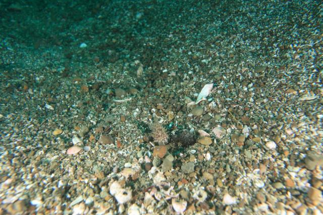 もうすぐ夏かなぁ〜☀️