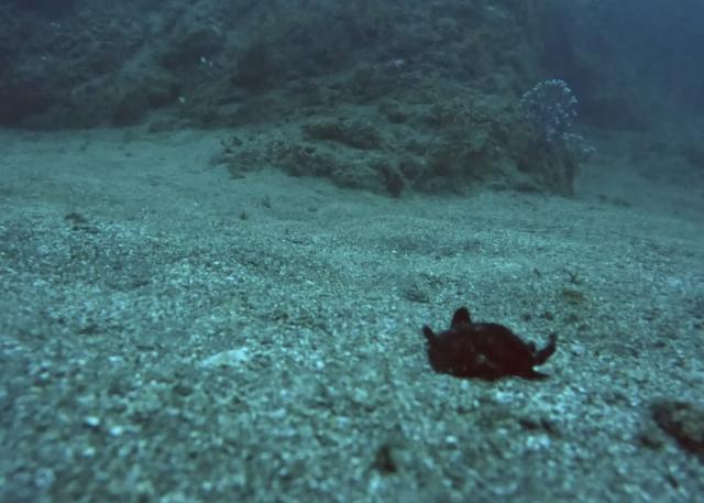 しとしと雨降りな1日