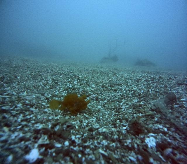 しとしと雨降りな1日
