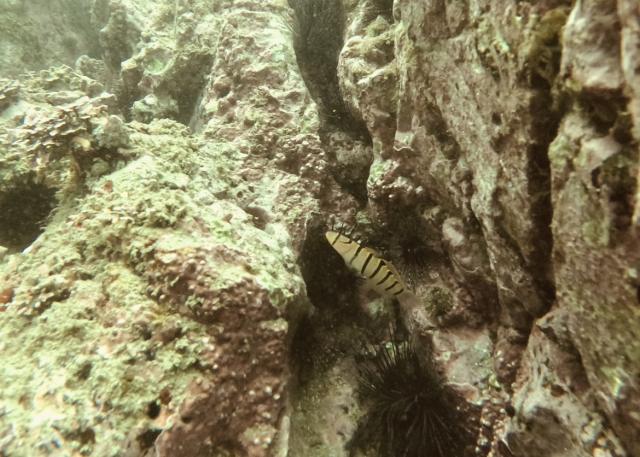 しとしと雨降りな1日