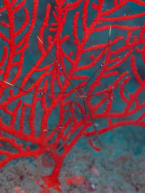 暑くなってきましたね〜☀️