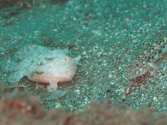 暑くなってきましたね〜☀️