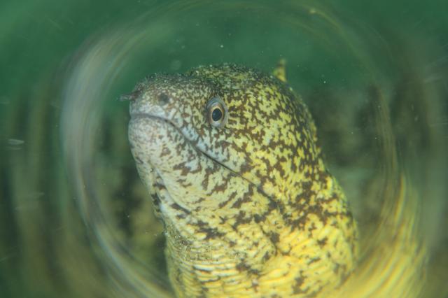 ボートにビーチダイビング！