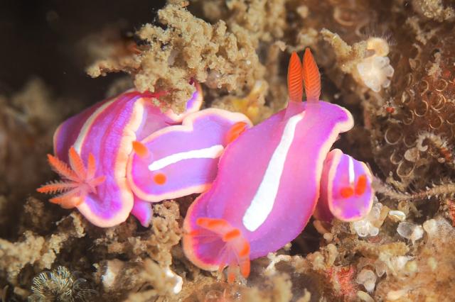 風が上がる前に