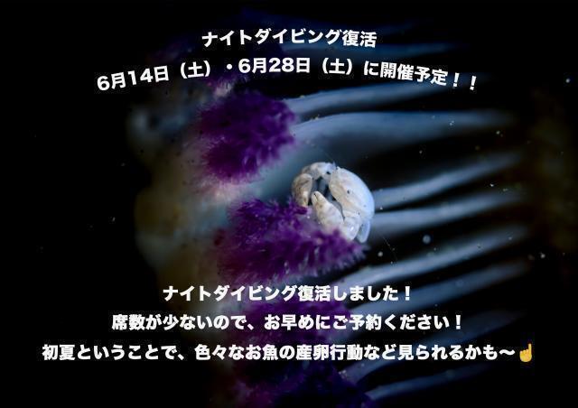 卓哉さんRGBLueセミナー会初日！
