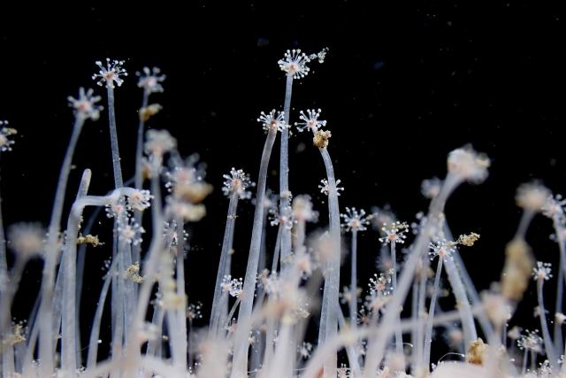 フォト講座にファンダイビングに賑やかでした