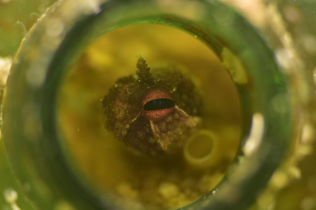 フォト講座にファンダイビングに賑やかでした