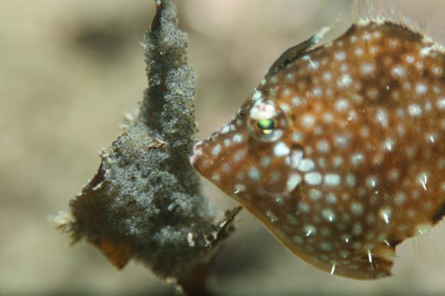 水温上昇！透視度高め！！