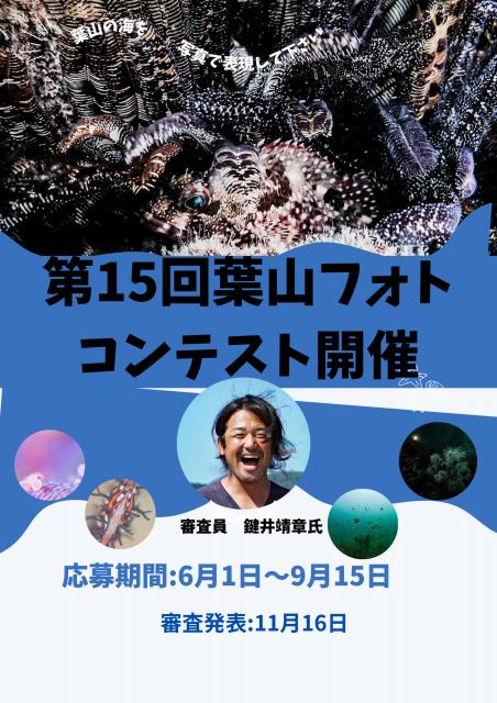 穏やかな1日でした