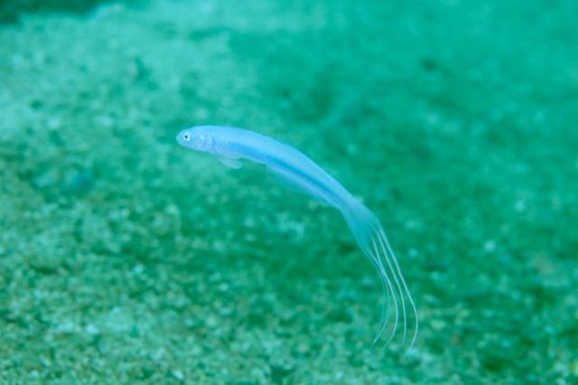 穏やかな1日でした