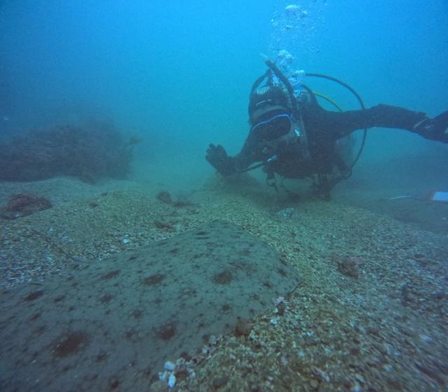 今日はのんびり週末ダイビング！！