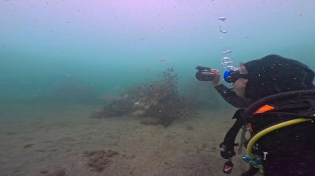 急遽　城ヶ島へ