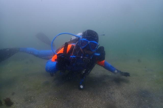 急遽　城ヶ島へ