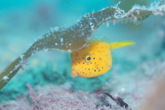 水中は平和そのもの