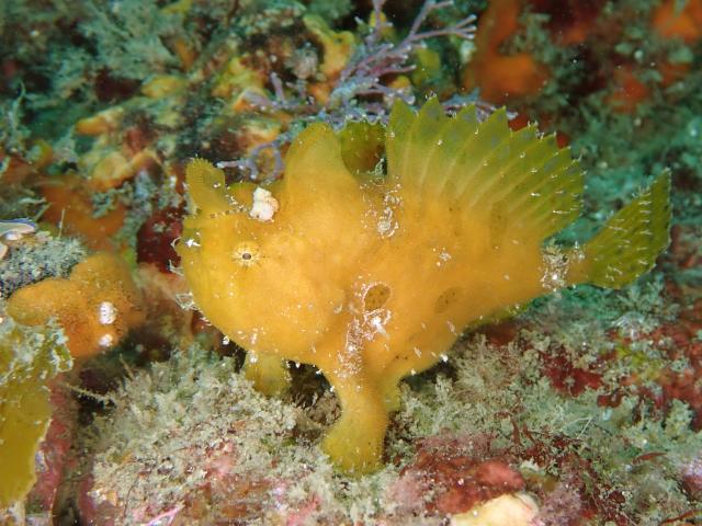 水中は平和そのもの