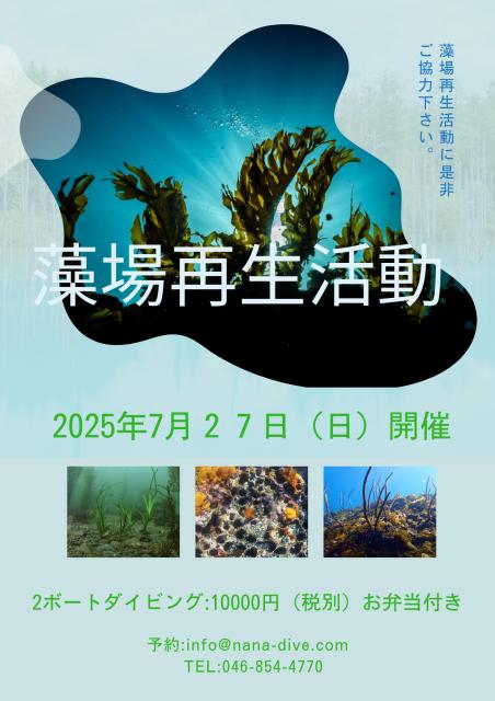 7月8月の藻場再生活動のご案内です