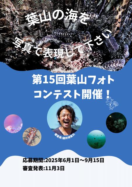 思いのほか、透視度が・・・