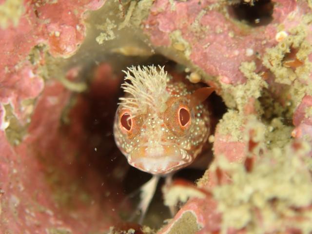 丁度良い気候でした♪