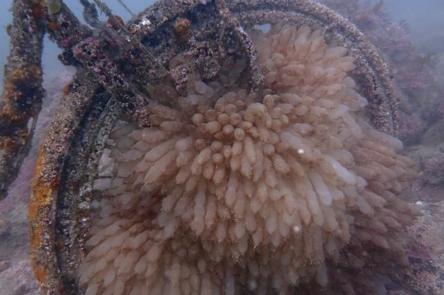 丁度良い気候でした♪