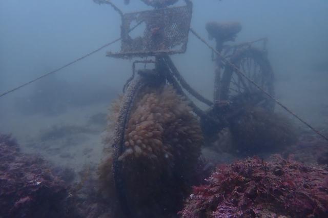 丁度良い気候でした♪