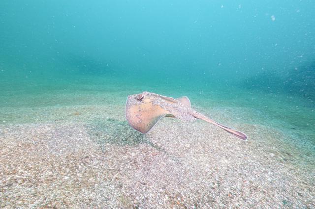 丁度良い気候でした♪