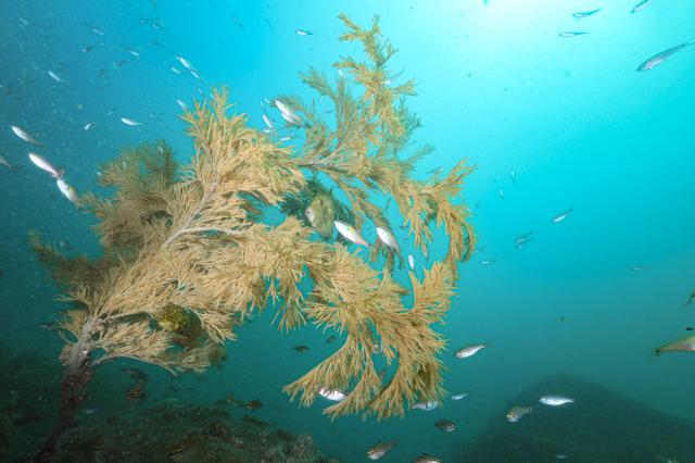 丁度良い気候でした♪