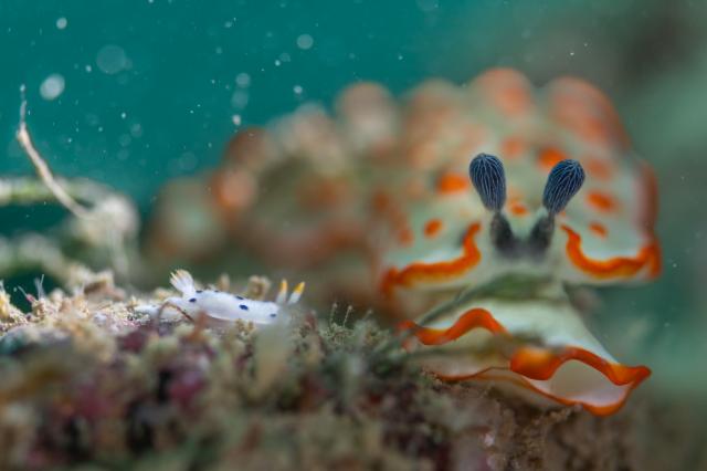 丁度良い気候でした♪