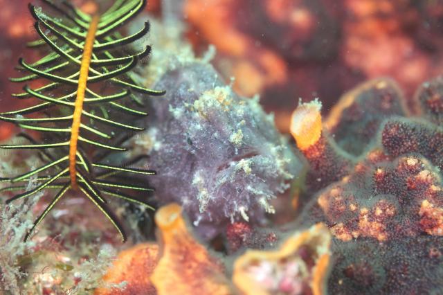 丁度良い気候でした♪