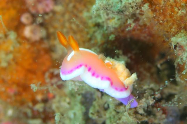 丁度良い気候でした♪