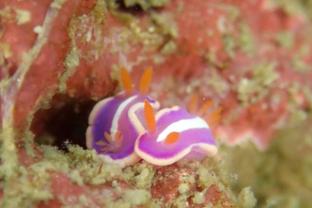 丁度良い気候でした♪