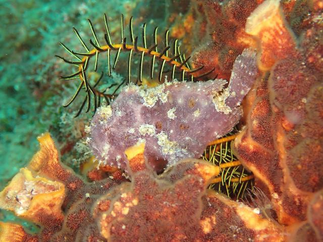 丁度良い気候でした♪