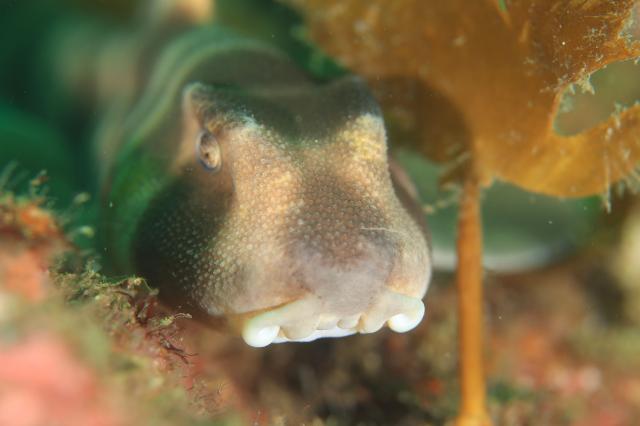 みんなで三浦へ